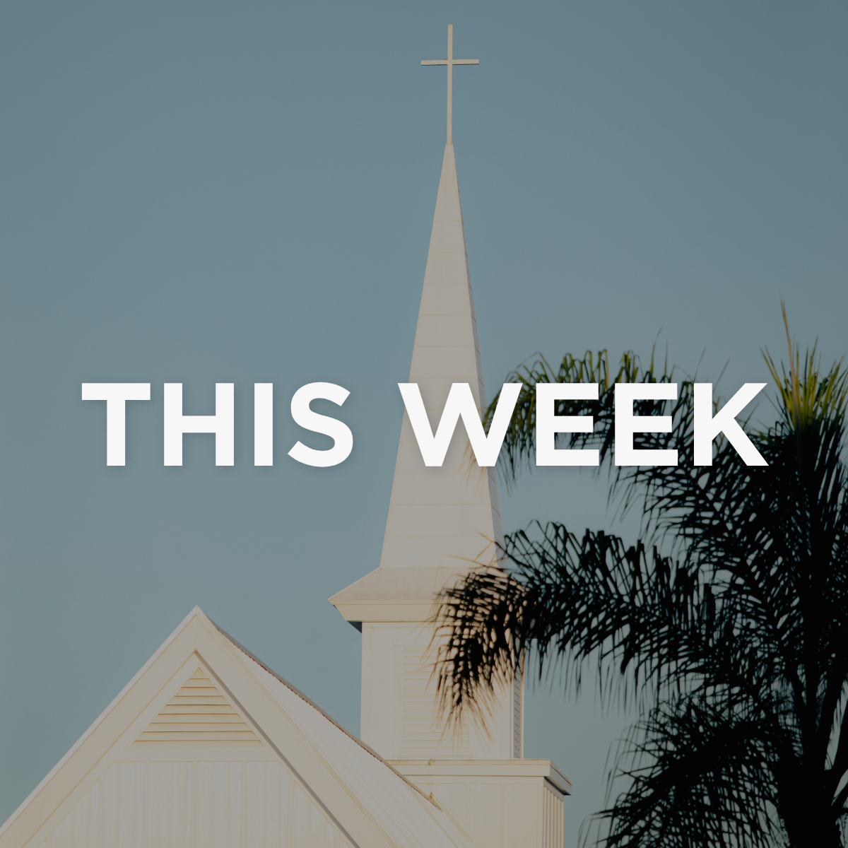This Week