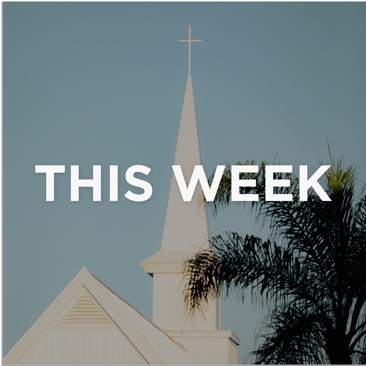 This Week